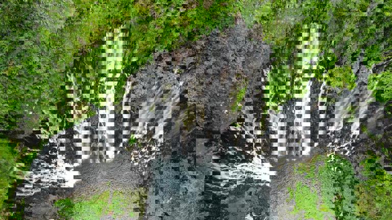 National Park Officials Crack Down on Illegal Drone Flights After Wildlife Disturbances